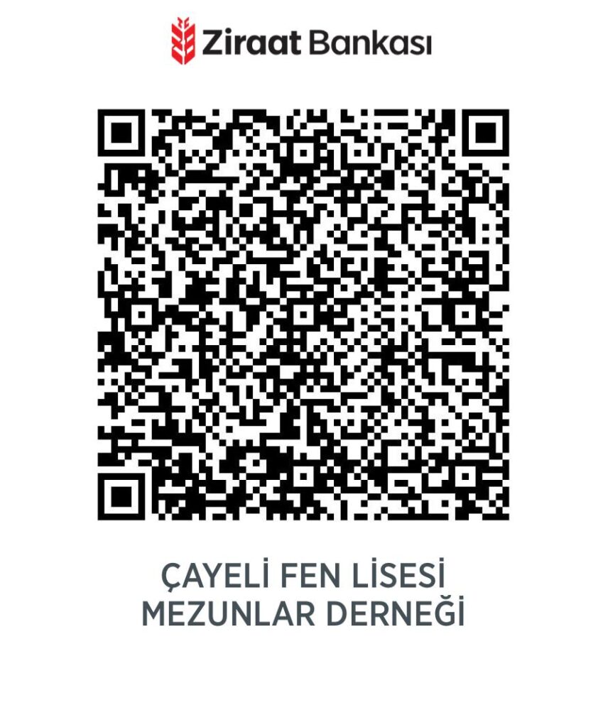 bi-bagis-yeni